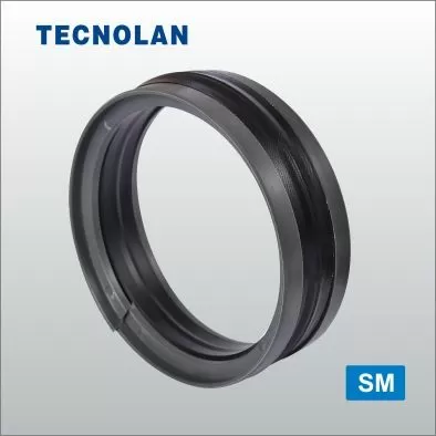 SM-type hydraulic piston seals