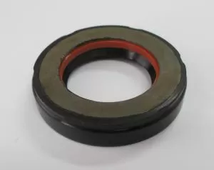 Oil seal SCJY 24x40x8 DEMAISI/CHINA