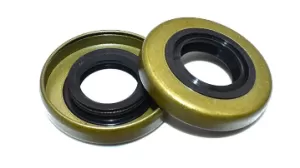Oil seal  BS 18x30x8 NBR NQK.SF /China