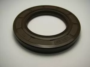 Oil seal AS 64x80x8 Viton