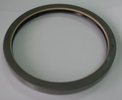 COMBI oil seal  165x190x17 NBR DEMAISI/CHINA,   12001925B,  DANA 1760600502, 3019959X1, LANDINI 3019959X1, MASSEY FERGUSON 3019959X1, NEW HOLLAND 5137109