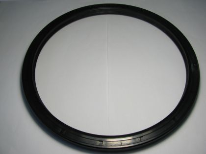 Oil seal AS 220x250x16 NBR