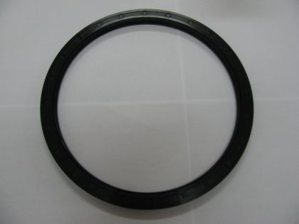 Oil seal AS 250x290x16  NBR