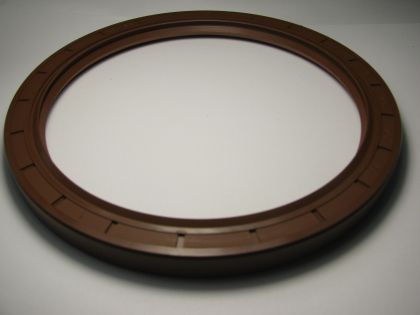 Oil seal AS 140x170x12 Viton