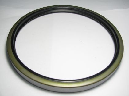 Oil seal  BS 160x182x17 NBR SOG/TW, rear wheel hub of MITSUBISHI MH 034084, F4167