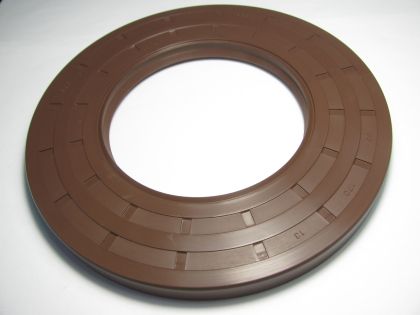 Oil seal  AS 95x170x13 Viton