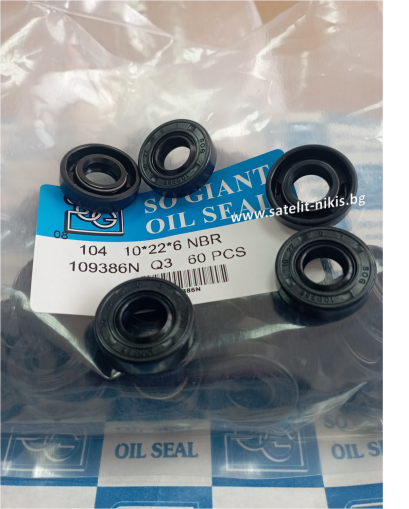 Oil seal    AS 10x22x6 NBR SOG/TW