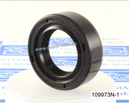 Oil seal   AS 20x32x10 NBR SOG/TW