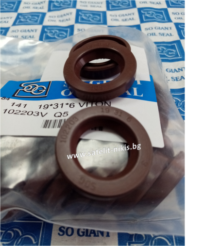 Oil seal  A 19x31x6 Viton SOG/TW