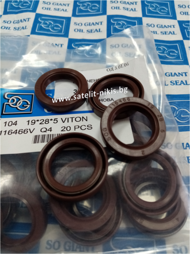 Oil seal   AS 19x28x5 Viton SOG/TW