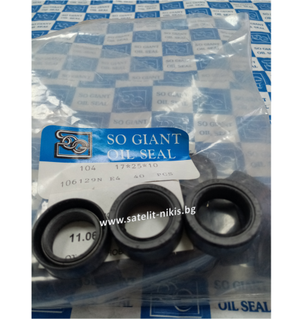 Oil seal   AS 17x25x10 NBR SOG/TW