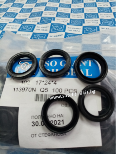 Oil seal   ASOF  17x24x4 NBR SOG/TW