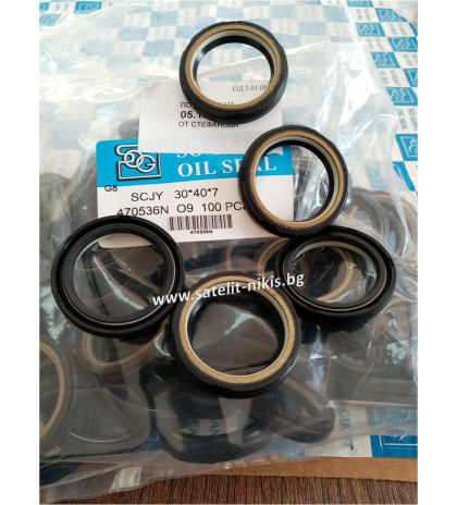 Oil seal SCJY 30x40x7 Nylon + NBR CHO/TW , for steering rack 