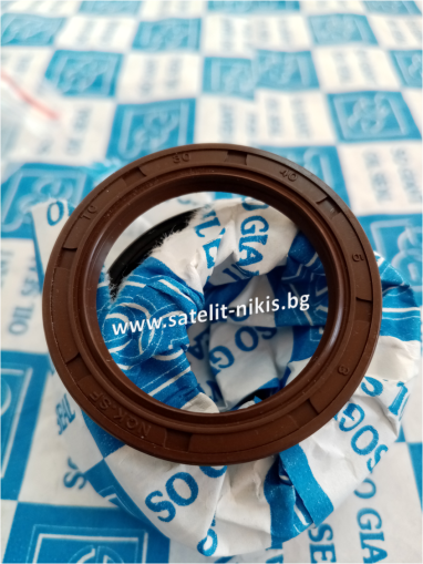 Oil seal   AS 30x40x5 Viton NQK.SF/China