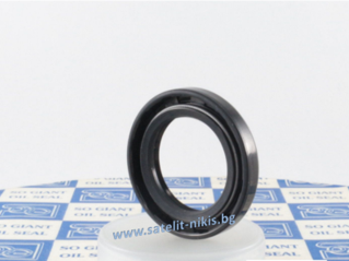 Oil seal  AS 28.58x50.8x6.35/7.14 Viton SOG/TW