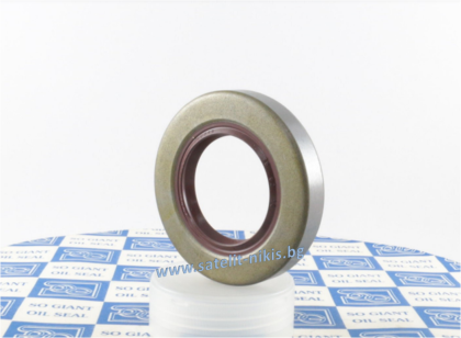 Oil seal BS (210) 75x100x13 Viton SOG/TW