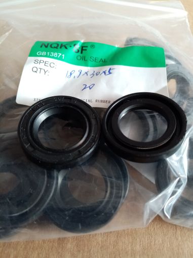 Oil seal  AS 18.9x30x5 L NBR NQK.SF/China 