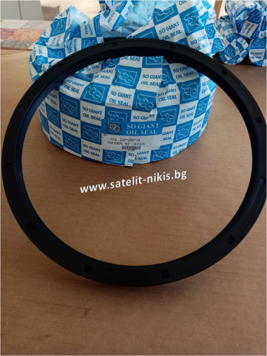 Oil seal  A 220x250x16 NBR SOG/TW