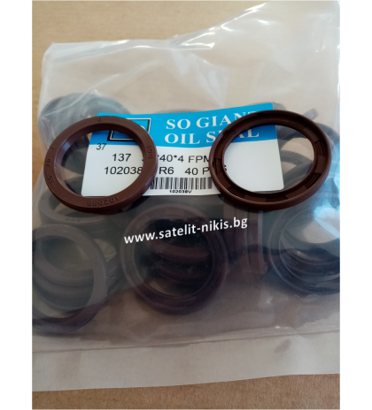 Oil seal VG (137)  30x40x4 Viton SOG/TW