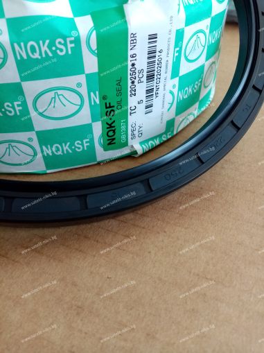 Oil seal    AS 220x250x16 NBR NQK.SF/China