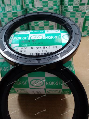 Oil seal  AS 95x125x13 NBR NQK.SF /China