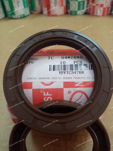 Oil seal AS 54x76x8 Viton NQK.SF/China