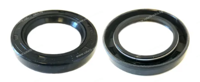 Oil seal  AS 25x42x10 NBR GRN/China