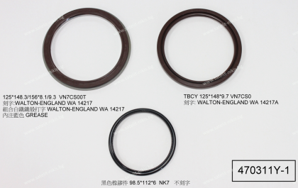 Oil seal set 125x148.3/156x8.1/9.3 Viton + NBR SOG/TW 