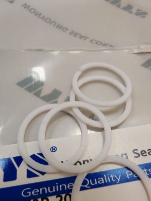 Back-up ring  T3P 20, 20x24x1.25 PTFE WYS/Korea , cut (endless type)