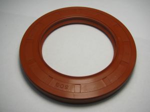 Oil seal AS 65x100x10 Silicone