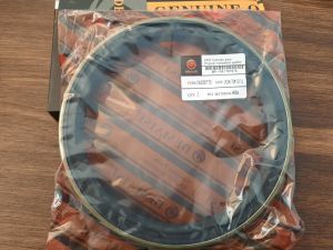CASSETTE oil seal   RWDR-K7  142x170x15/16 NBR  DEMAISI/China  for wheel hub of SCANIA