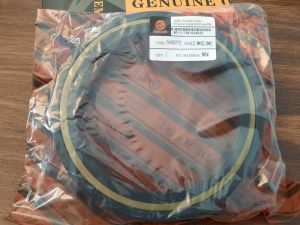 CASSETTE oil seal   RWDR-K7  RWDR-K7  117.48x152.36x22 NBR DEMAISI/China  for wheel hub of RENAULT TRUCK,ROCKWELL