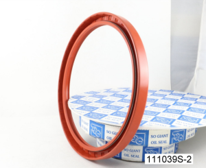 Oil seal AS 170x200x15 Silicone