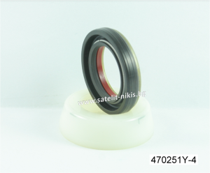 Oil seal SCJY 25.5x39x8.5 Nylon + NBR CHO/TW , for steering rack 
