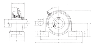 Bearing set  UCP 207 FBJ