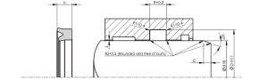Hydraulic rod seal A151-100 100x110x14 NBR90 Alp