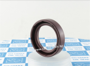 Oil seal A (SC)  25x45x10 Viton SOG/TW