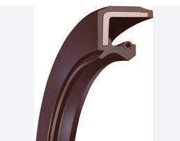 Oil seal  AS (TC) 32x40x5 Viton SOG/TW