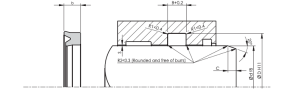 Rod nutring A151 10x16x4.5 PU92